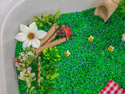 Picnic Sensory Bin - Image 3