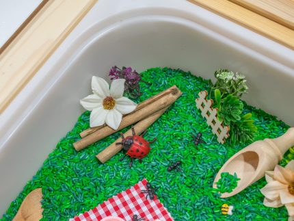Picnic Sensory Bin - Image 14