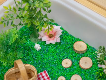 Picnic Sensory Bin - Image 12