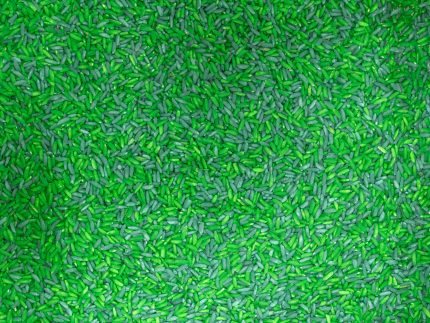 Picnic Sensory Bin - Image 8