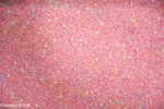 Cupid's Confetti Rice