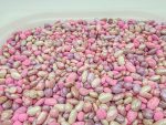 Ballerina Bean Mix - Image 2