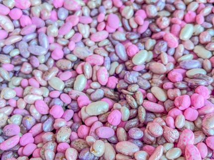 Pink and Purple Bean Mix - Image 4