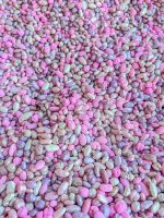 Pink and Purple Bean Mix - Image 3
