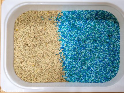 Summer Sensory Bin - Image 8