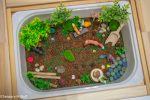 Woodland Animal Sensory Bin