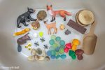 Woodland Animal Sensory Bin - Image 10