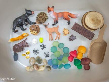 Woodland Animal Sensory Bin - Image 10
