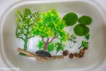 Woodland Animal Sensory Bin - Image 11