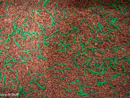 Woodland Animal Sensory Bin - Image 12