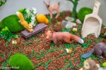 Woodland Animal Sensory Bin - Image 2