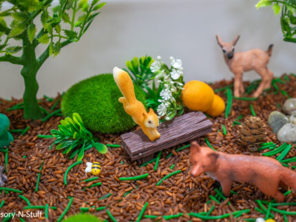 Woodland Animal Sensory Bin - Image 4