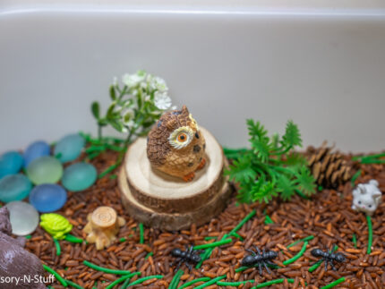 Woodland Animal Sensory Bin - Image 5