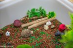 Woodland Animal Sensory Bin - Image 6