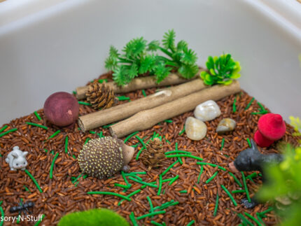 Woodland Animal Sensory Bin - Image 6