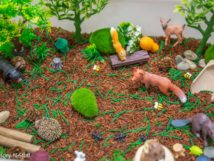 Woodland Animal Sensory Bin - Image 7