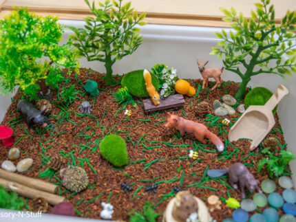 Woodland Animal Sensory Bin - Image 8