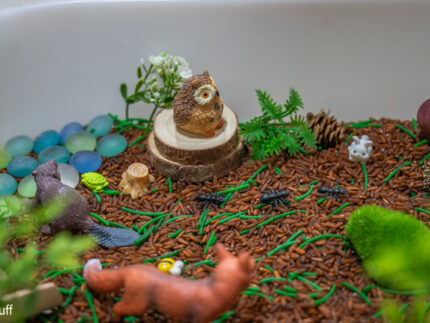 Woodland Animal Sensory Bin - Image 9