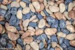 River Rocks Construction Beans Sensory Filler