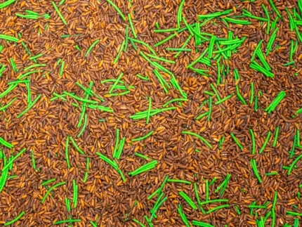 Woodland Sensory Mix - Image 3
