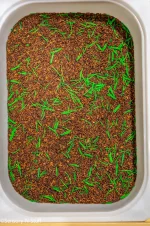 Woodland Sensory Mix