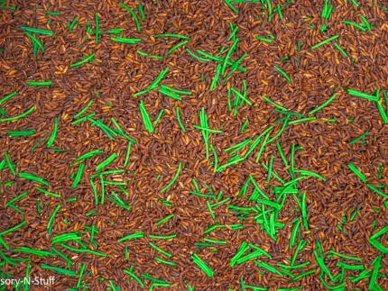 Woodland Sensory Mix - Image 4