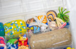 Deluxe Beach Playdough Kit - Image 7