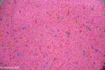Candy Rice Filler - Image 2