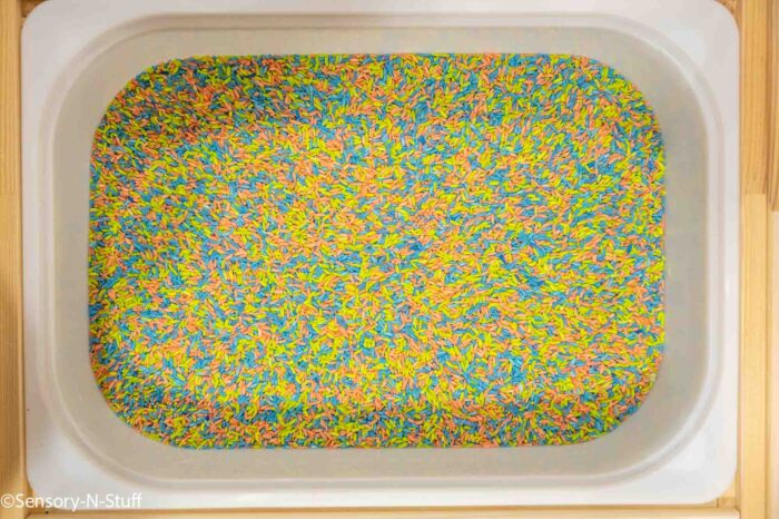 Dinosaur Sensory Rice