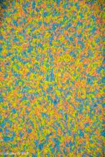Dinosaur Sensory Rice - Image 3