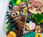 Deluxe Woodland Playdough Kit - Image 9