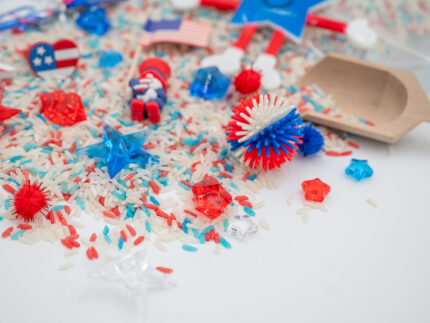 Patriotic Budget Bag - Image 3