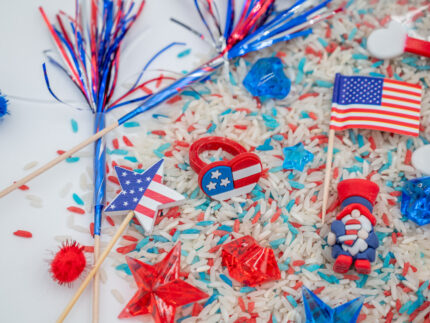 Patriotic Budget Bag - Image 5