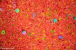 Tutti Fruity Sensory Filler