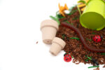 Planting Flowers Budget Bag - Image 6