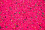 Watermelon Sensory Filler