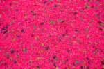 Watermelon Sensory Filler - Image 3
