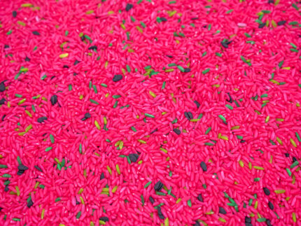 Watermelon Sensory Filler - Image 3