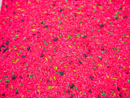 Watermelon Sensory Filler - Image 4