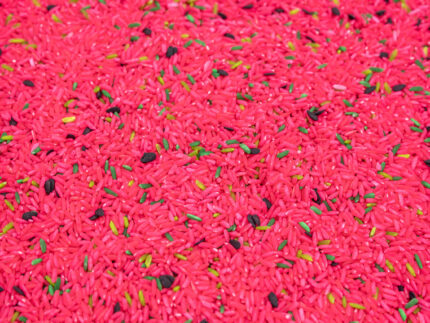 Watermelon Sensory Filler - Image 6