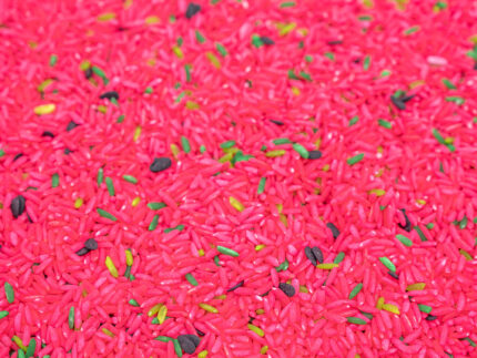 Watermelon Sensory Filler - Image 7