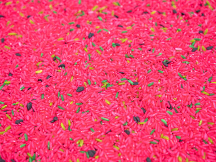 Watermelon Sensory Filler - Image 8