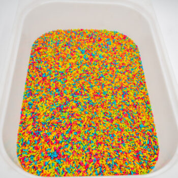 Neon Rainbow Rice sensory filler