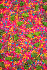 Chicka Chicka Alphabet Sensory Filler with colorful letters, green palm trees and coconut-inspired sensory pieces