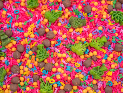 Chicka Chicka Alphabet Sensory Filler with colorful letters, green palm trees and coconut-inspired sensory pieces