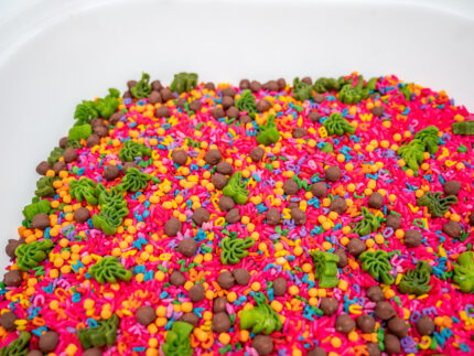 Chicka Chicka Alphabet Sensory Filler with colorful letters, green palm trees and coconut-inspired sensory pieces