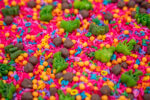 Chicka Chicka Alphabet Sensory Filler with colorful letters, green palm trees and coconut-inspired sensory pieces