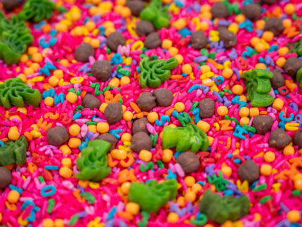 Chicka Chicka Alphabet Sensory Filler with colorful letters, green palm trees and coconut-inspired sensory pieces