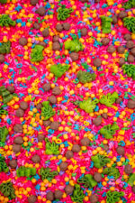 Chicka Chicka Alphabet Sensory Filler with colorful letters, green palm trees and coconut-inspired sensory pieces
