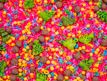 Chicka Chicka Alphabet Sensory Filler with colorful letters, green palm trees and coconut-inspired sensory pieces